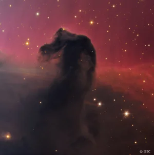 Horsehead nebula.