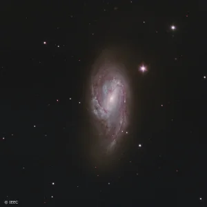 The galaxy M66