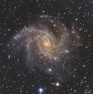 Una supernova en la galaxia NGC 6946