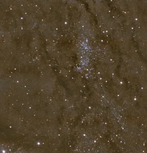 Asociación de estrellas NGC 206
